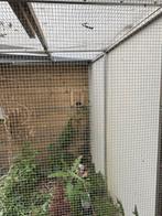 Geatis Buiten voiliere, zelf afbreken aluminium!, Dieren en Toebehoren, Vogels | Hokken en Kooien, Ophalen, Aluminium, Volière