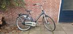 BATAVUS MAMBO, Vering, Batavus, Ophalen of Verzenden, 57 tot 61 cm