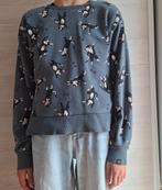 Grijze Hema sweater met speelse kattenprint – Maat 146/152, Meisje, Trui of Vest, Ophalen of Verzenden, Zo goed als nieuw