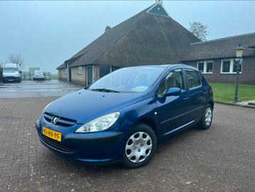 Peugeot 307 1.6-16V XT | Automaat | 5 DRS | 2001 beschikbaar voor biedingen