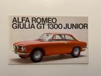 Alfa Romeo Giulia GT 1300 Junior Brochure 1966, Alfa Romeo, Ophalen of Verzenden, Zo goed als nieuw