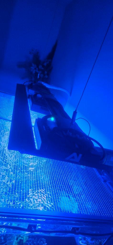 3x radion xr15 g5 pro 1x blade coral grow, Dieren en Toebehoren, Vissen | Aquaria en Toebehoren, Zo goed als nieuw, Verlichting of Verwarming