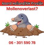 MOLLENVANGER, Noord Holland/Fryslân, Mollen of Woelratten