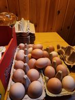 Broed eieren van verschillende soorten, Dieren en Toebehoren, Pluimvee, Geslacht onbekend, Kip