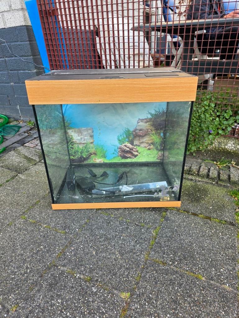 Juwel 60x60x4p, Dieren en Toebehoren, Vissen | Aquaria en Toebehoren, Ophalen, Leeg aquarium