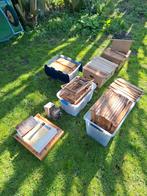 Raampjes spaarkast, Bijen