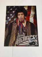 Jimi Hendrix Metalen Poster, Ophalen of Verzenden, Zo goed als nieuw