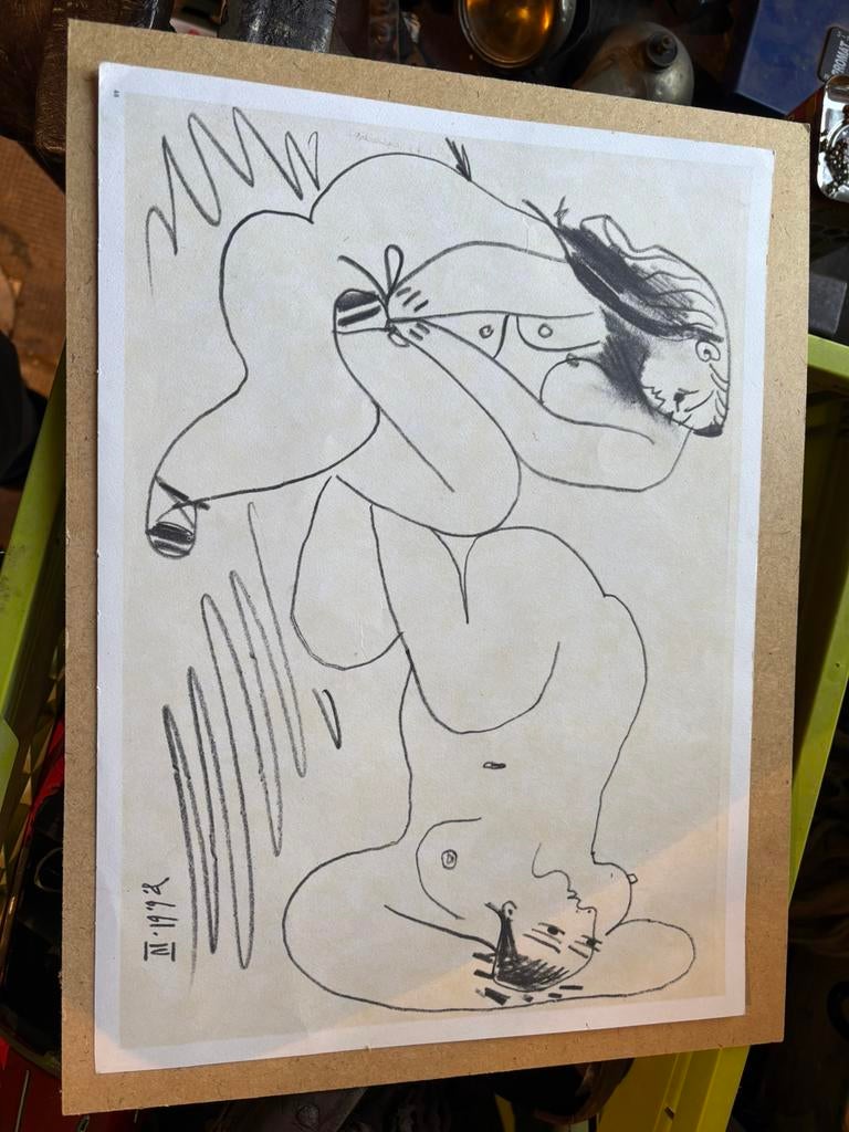 Picasso, Ophalen of Verzenden