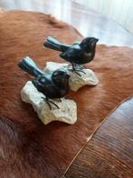 vogeltjes 2 stuks, Ophalen of Verzenden, Zo goed als nieuw, Dier