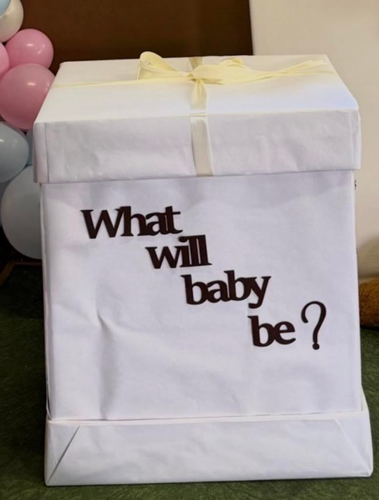 Gender reveal box 'What will baby be?', Ophalen, Gebruikt, Versiering, Geboorte of Huwelijk