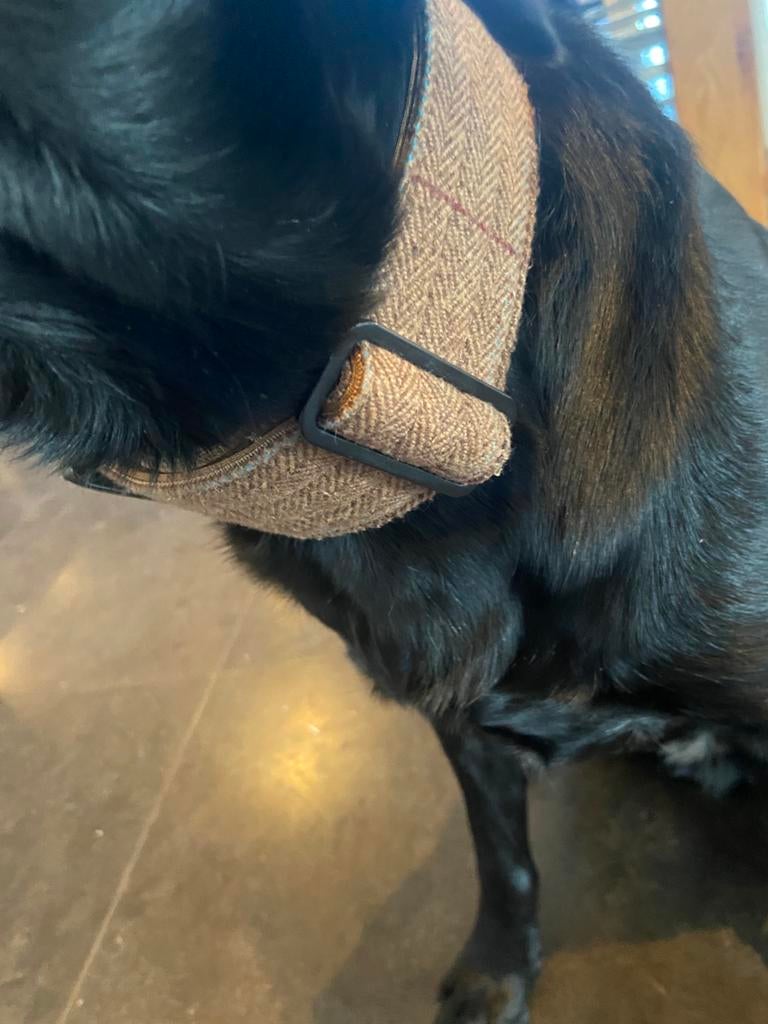 Honden halsband van bullybillows, Dieren en Toebehoren, Ophalen of Verzenden, Zo goed als nieuw