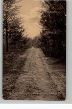 Bennekom Boschlaan Seltenkamp st 1913, Verzenden, Voor 1920, Gelopen, Gelderland