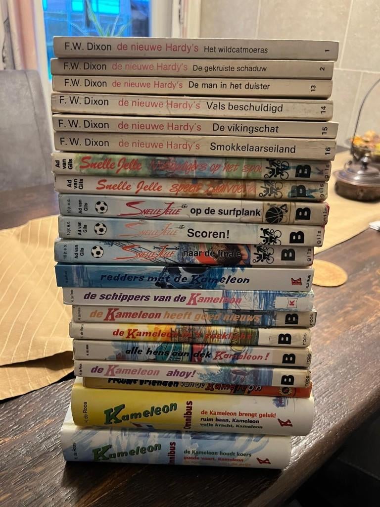 boeken snelle Jelle, Ophalen of Verzenden, Gelezen, Ad van Gils