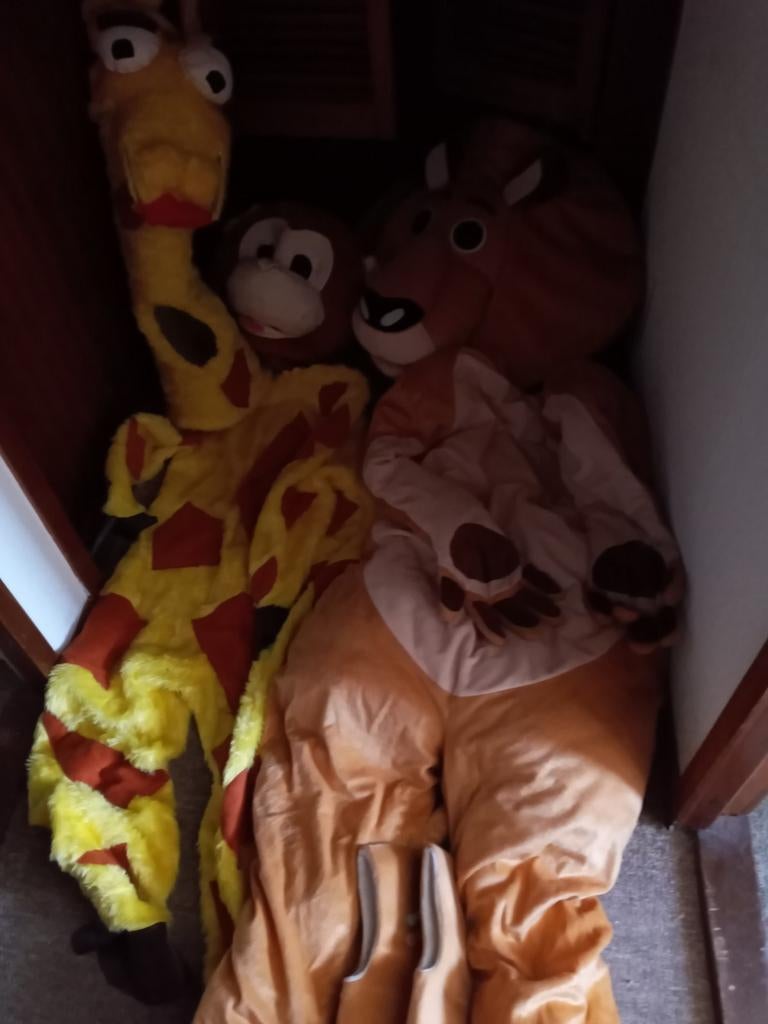 Diverse mascotte kostuums: Aap, Leeuw, Giraffe (L/XL), Ophalen of Verzenden, Gebruikt, Pak of Jurk