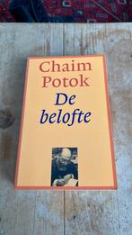 De belofte - chaim potok, Ophalen of Verzenden, Zo goed als nieuw