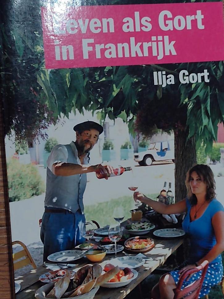 Leven als Gort in Frankrijk / Ilja Gort ISBN 9789044982930, Boeken, Romans, Zo goed als nieuw, Europa overig, Ophalen