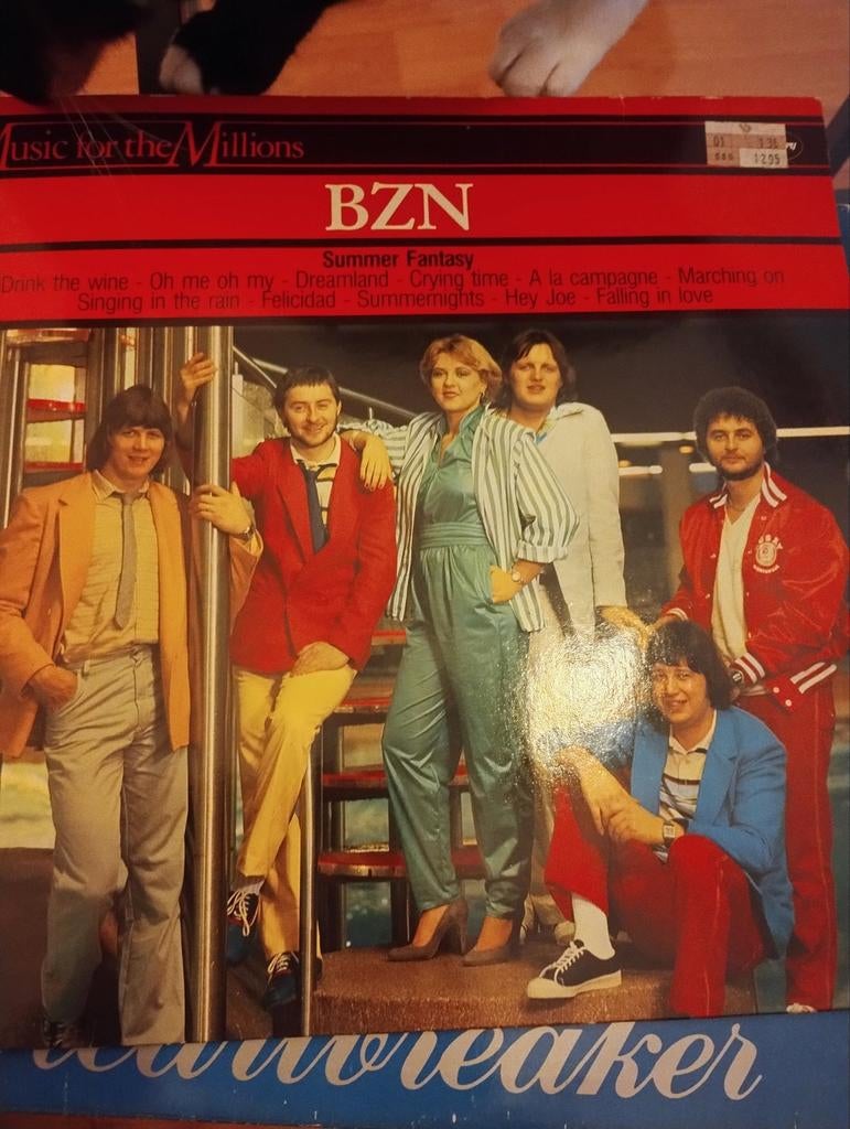 BZN - Summer Fantasy LP (Music for the Millions), Ophalen of Verzenden, Gebruikt, 12 inch