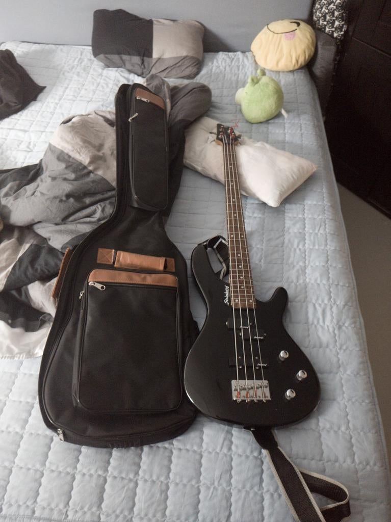 Strinberg basgitaar, Ophalen, Gebruikt