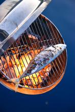 Magma boot barbecue houtskool, Ophalen of Verzenden, Gebruikt, Met accessoires