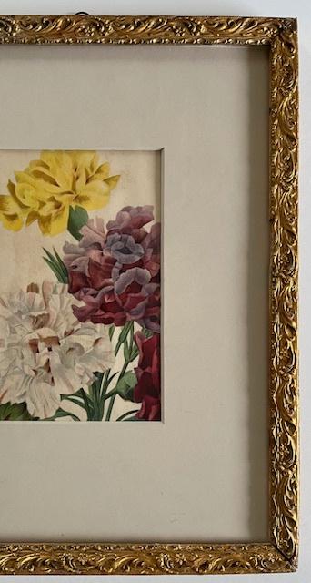 Antieke Franse vergulde houten lijst met afbeelding anjers, Ophalen of Verzenden