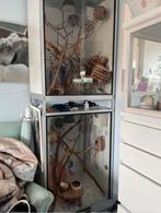 Aluminium terrarium/ hok op wielen, Dieren en Toebehoren, Ophalen, Eekhoorn, Minder dan 75 cm, Zo goed als nieuw