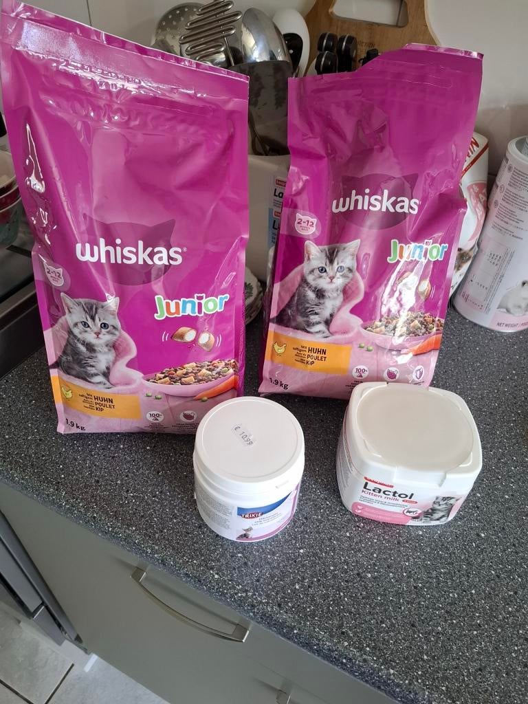 Kittenvoeding, Ophalen of Verzenden, Hond