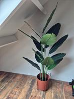 Grote kunstplant 180 cm + bloempot van H&M Home, Ophalen, Zo goed als nieuw, Binnen