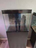 CIANO 60 Aquarium, Ophalen, Leeg aquarium