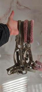 3x halster voor schetlanders schetlander, Ophalen of Verzenden, Overige soorten