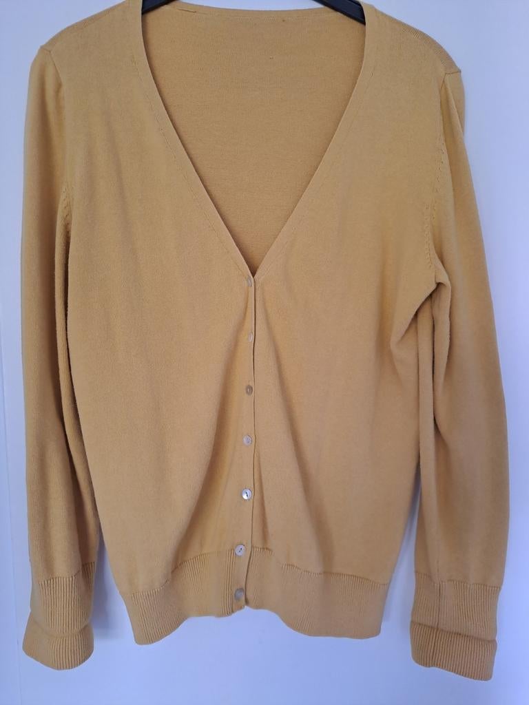 Dames vest mosterd geel maat L, Ophalen of Verzenden, Zo goed als nieuw, Geel