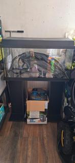 Juwel Aquarium 100L, Ophalen, Zo goed als nieuw, Leeg aquarium