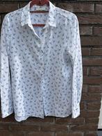 ETERNA  MAAT 38, Ophalen of Verzenden, Zo goed als nieuw, Maat 38/40 (M)