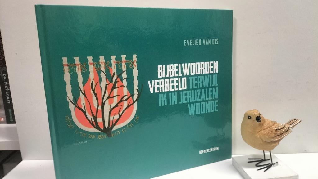 Dis, E. ; Bijbelwoorden verbeeld terwijl ik in Jeruzalem, Ophalen of Verzenden, Gelezen, Christendom | Protestants