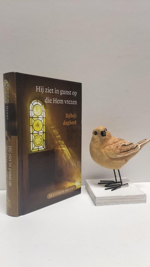 Henry, Matthew; Hij ziet in gunst op die Hem vrezen (Bijbels, Boeken, Godsdienst en Theologie, Ophalen of Verzenden, Gelezen, Christendom | Protestants