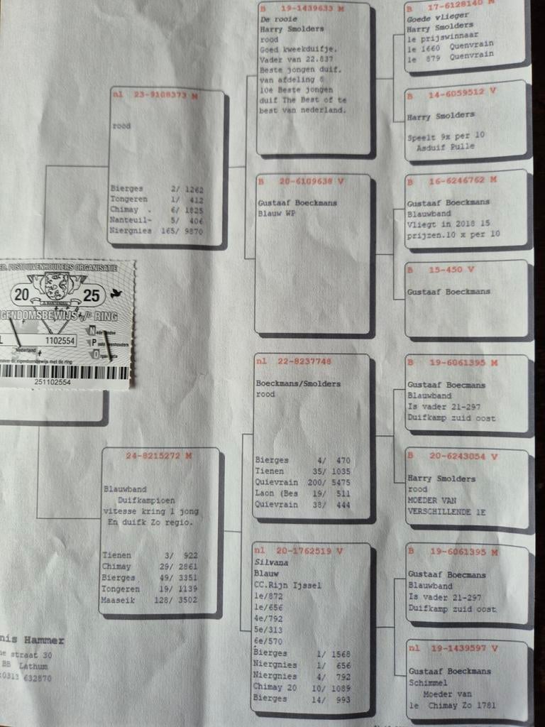 Te koop of ruilen voor een paar goede jonge duiven., Mannelijk, Postduif