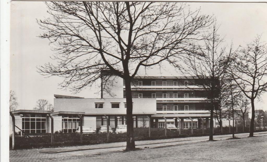 zutphen- de leeuwerikweide, Ophalen of Verzenden, Voor 1920, Gelderland