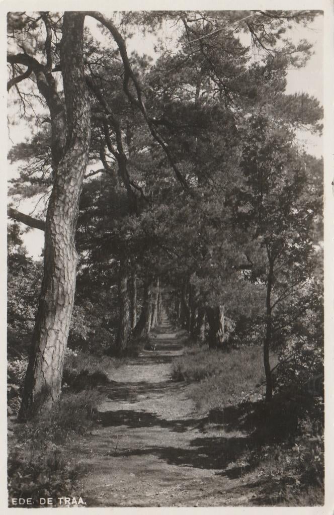 EDE De Traa, Verzenden, 1940 tot 1960, Ongelopen, Gelderland