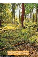 Ansichtkaart	Hoeven	Camping, Bos, Verzamelen, Ansichtkaarten | Nederland, Verzenden, 1960 tot 1980, Gelopen, Noord-Brabant