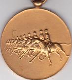 RUITERSPORT 8 - TOLLEN   BEEMSTER, Ophalen of Verzenden, Overige materialen