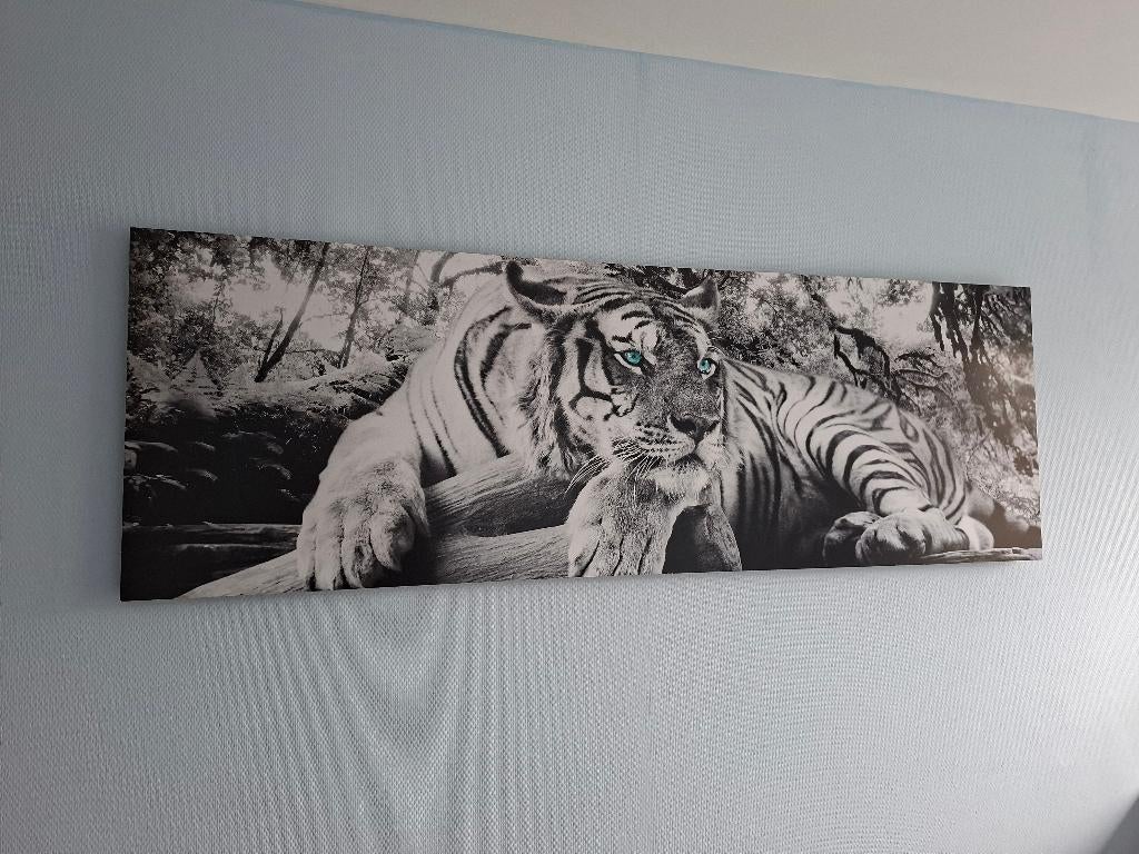 Schilderij tijger (zwart-wit), Antiek en Kunst, Kunst | Schilderijen | Modern, Ophalen