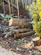 Peren hout perenhout hobby hout, Ophalen of Verzenden