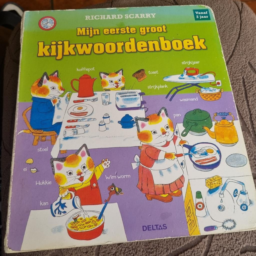 Mijn Eerste Grote Kijkwoordenboek - Richard Scarry, Ophalen of Verzenden, Gelezen, Richard Scarry
