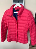 Tommy Hilfiger jas, Ophalen, Zo goed als nieuw, Maat 36 (S), Roze