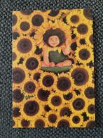 Zonnebloemen, Ophalen of Verzenden