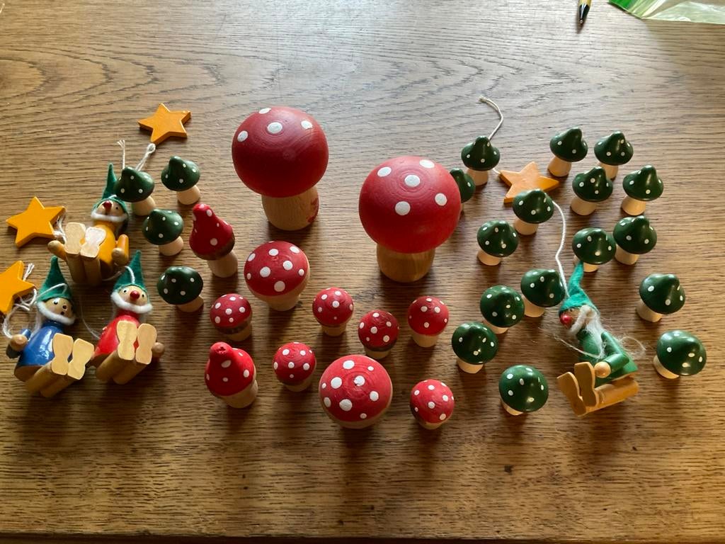 Paddestoelen en kabouters, Ophalen of Verzenden, Zo goed als nieuw