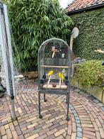 Grote vogel kooi, Dieren en Toebehoren, Ophalen of Verzenden, Gebruikt, Metaal, Vogelkooi