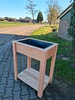 Prachtige douglas moestuinbak, kweektafel, Ophalen, Nieuw, Hout