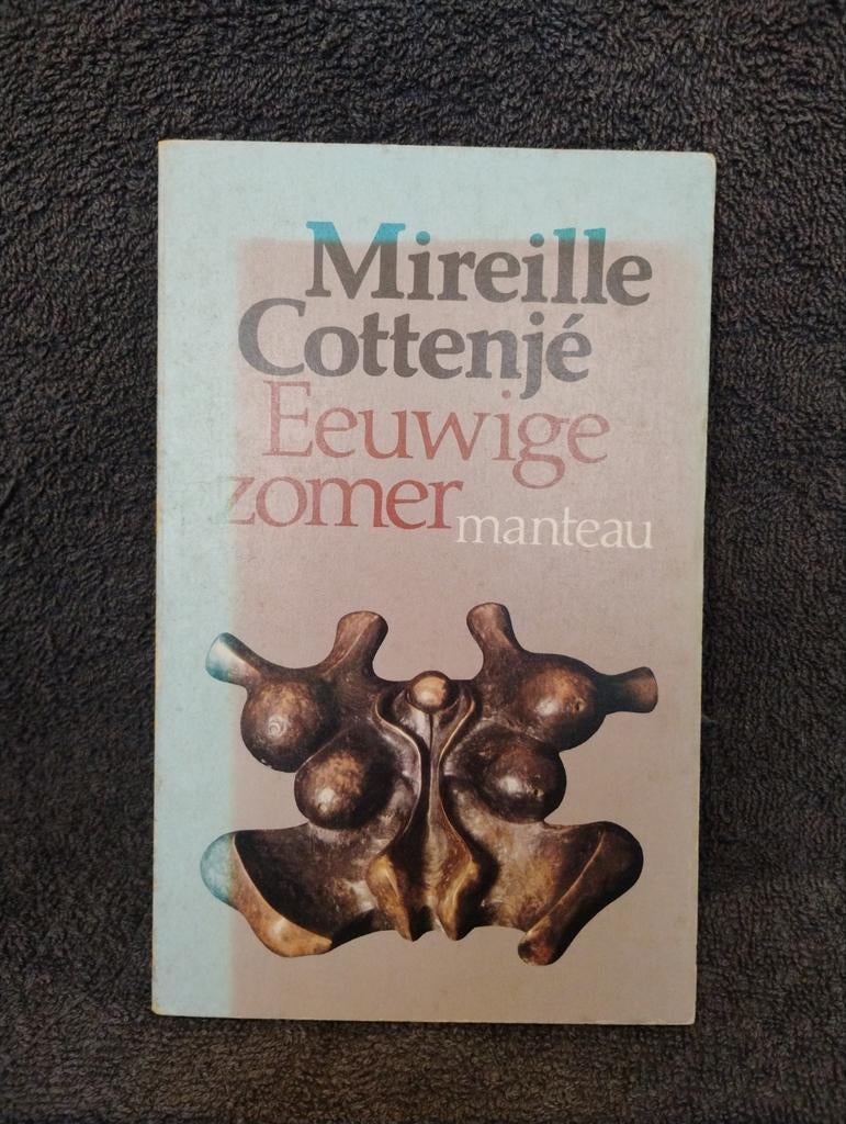 Eeuwige Zomer - Mireille Cottenjé, Boeken, Romans, Gelezen, Nederland, Ophalen of Verzenden