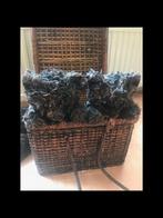 Leuke rieten berenmand met deksel, Ophalen, Gebruikt, Mand, Vierkant