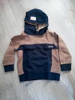 trui van het merk Noppies ( 98 ), Kinderen en Baby's, Kinderkleding | Maat 98, Ophalen of Verzenden, Zo goed als nieuw, Jongen